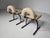 Chairs attributed to Saporiti from the 1980s, Constructed with a metal framework, these chairs ensure longevity and...