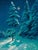 Oh Night Divine, Luke 2:1-20 by Thomas Kegler | Oil on board Night scene with snow-covered trees and a star. For Sale