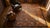 Superb Persimmon Color and Navy Border With Chinoiserie Pattern Antique Chinese Kansu Rug For Sale - Image 14 of 14