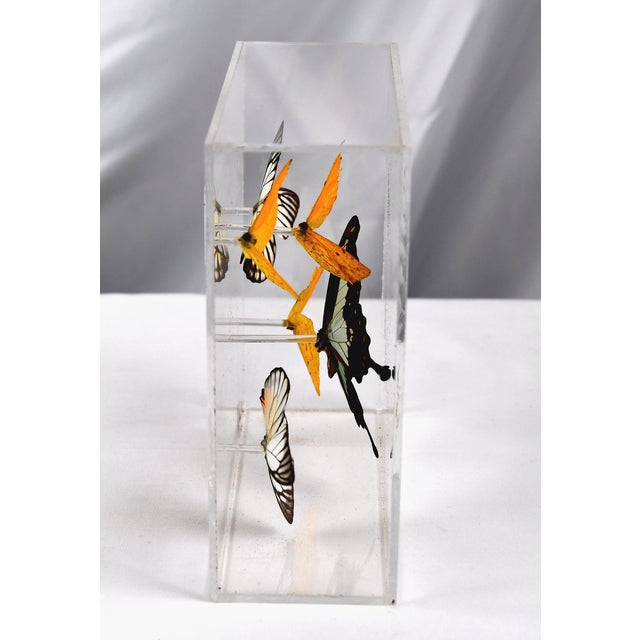 Figurative 1983 Paul Purington Mounted Butterfly Wall Ornament For Sale - Image 3 of 5