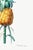 Vintage Pineapple Illustration, Botanical Art Print Reproduction, 32" X 48" For Sale - Image 10 of 10