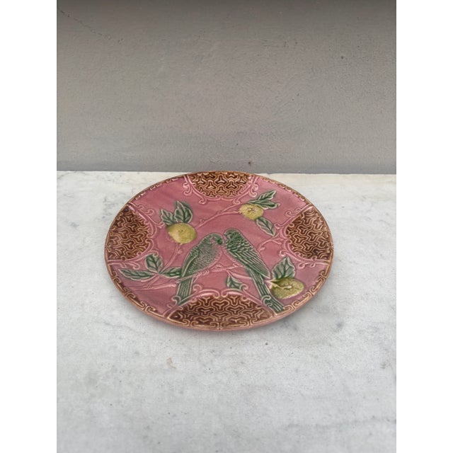 French Pink Majolica Parakeets Plate Salins, Circa 1890. Rare pink background.