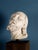 Stone Girolamo Ticciati, Italian School Head of a Bearded Man with Long Hair, 1700s, Marble For Sale - Image 7 of 7