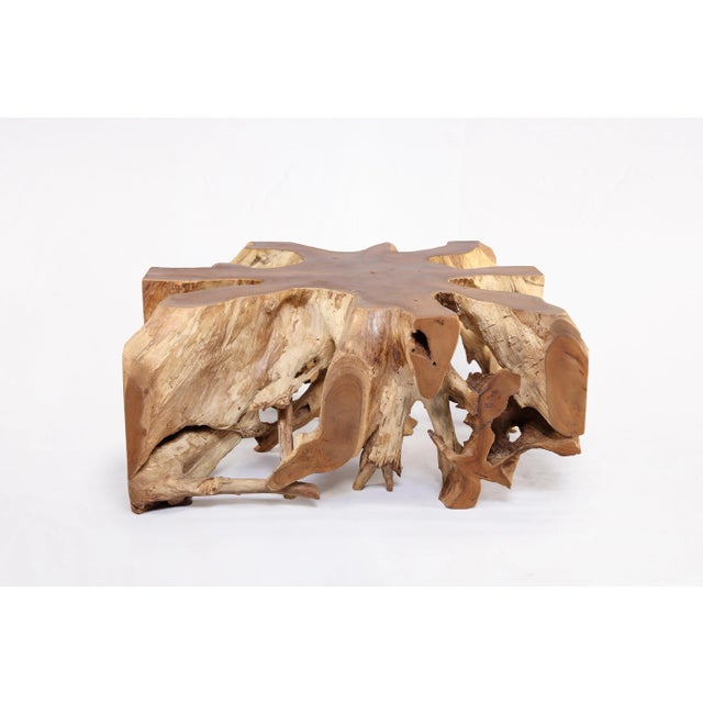 Square 36" Inch Organic Teak Root Coffee Table 53 For Sale In Greensboro - Image 6 of 6
