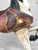 Vintage 24" Traditional Folk Art Hand Painted Carousel Horse For Sale - Image 9 of 12