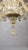 Italian Six-Arm Murano Chandelier, 1900s For Sale - Image 3 of 11