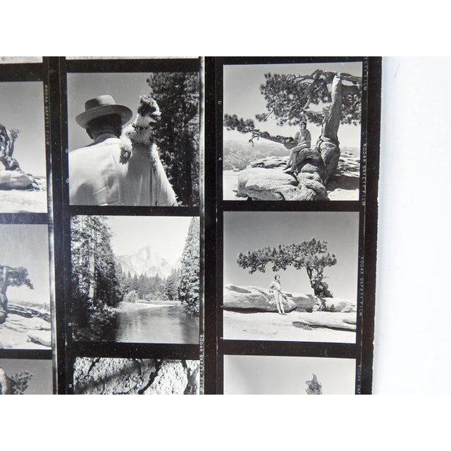 Vintage California Yosemite Contact Sheet Photographs For Sale - Image 4 of 6