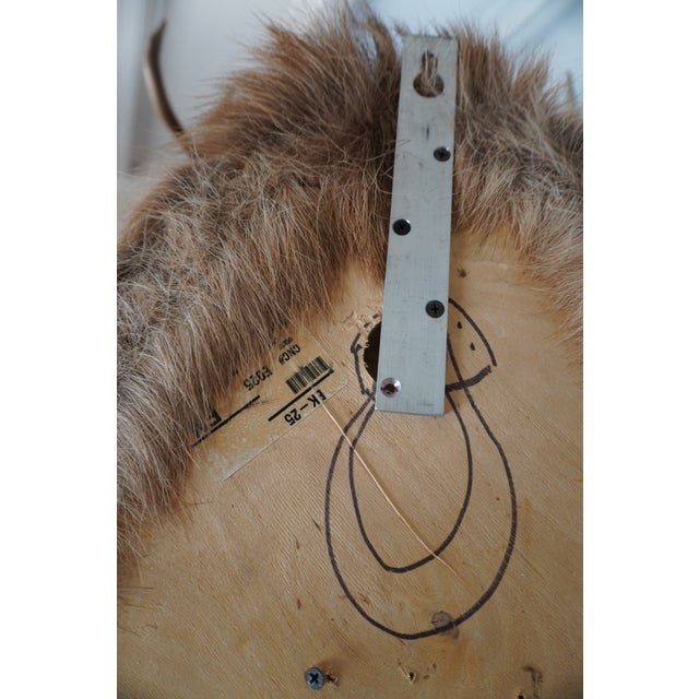 Elk Trophy Head & Shoulder Mount For Sale - Image 16 of 17