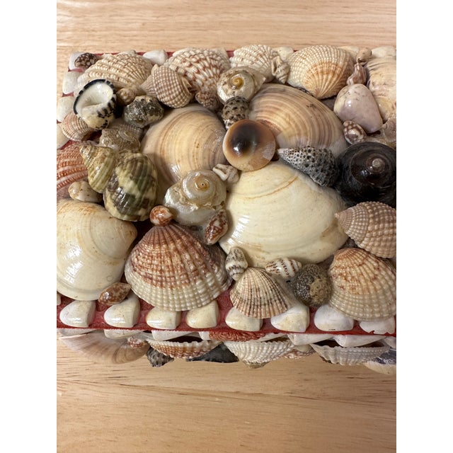 Mid 20th Century Natural Seashell Encrusted Box Red Lining For Sale - Image 4 of 9