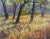 Oil on board landscape study by Brian Grimm (Texas). Signed lower left corner. Displayed in weathered wood frame with...