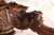 Early 19th Century Oak Coffee Table With Gargoyles For Sale - Image 6 of 17