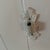 Late 19th Century Bradley & Hubbard Original Wall Sconce For Sale In Chicago - Image 6 of 8