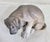 Antique Porcelain Labrador Puppy Figurine from Royal Copenhagen, 1930s For Sale - Image 4 of 18