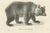 Majestic Bears, 1836, Print, Set of 2 For Sale - Image 6 of 12