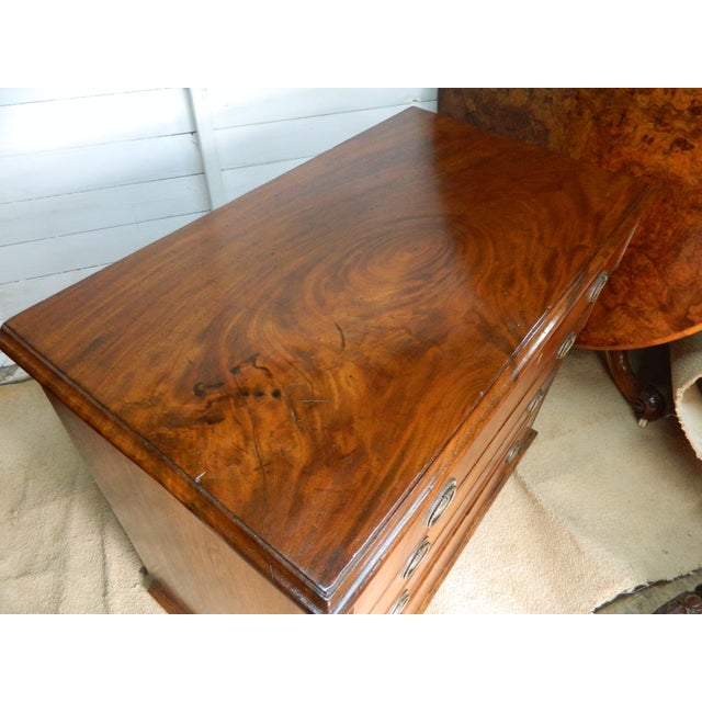 Victorian Mahogany Chest of Drawers For Sale - Image 17 of 18