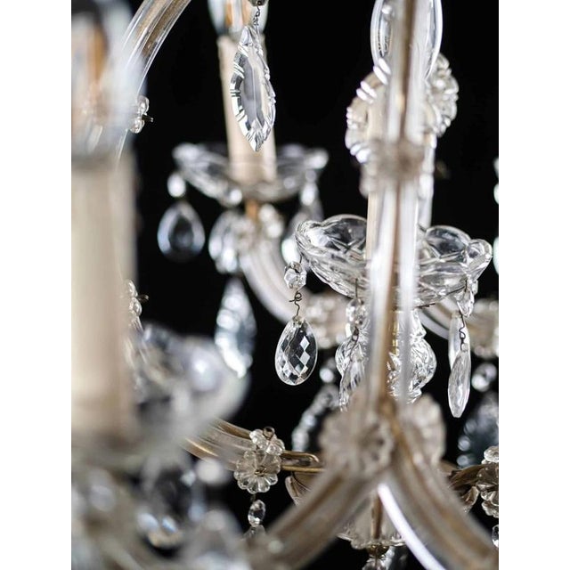 Crystal Theresian Chandelier with 9 Bulbs For Sale - Image 4 of 8