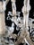 Crystal Theresian Chandelier with 9 Bulbs For Sale - Image 4 of 8