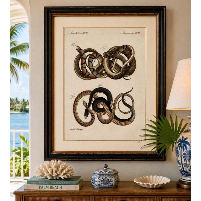 Bertuch, Four Exotic Snakes, 1802, Engraving For Sale - Image 9 of 10