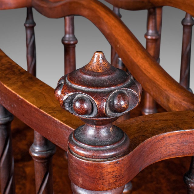 Antique Canterbury Stand, English, Burr Walnut, Newspaper, Magazine, Regency For Sale - Image 9 of 10