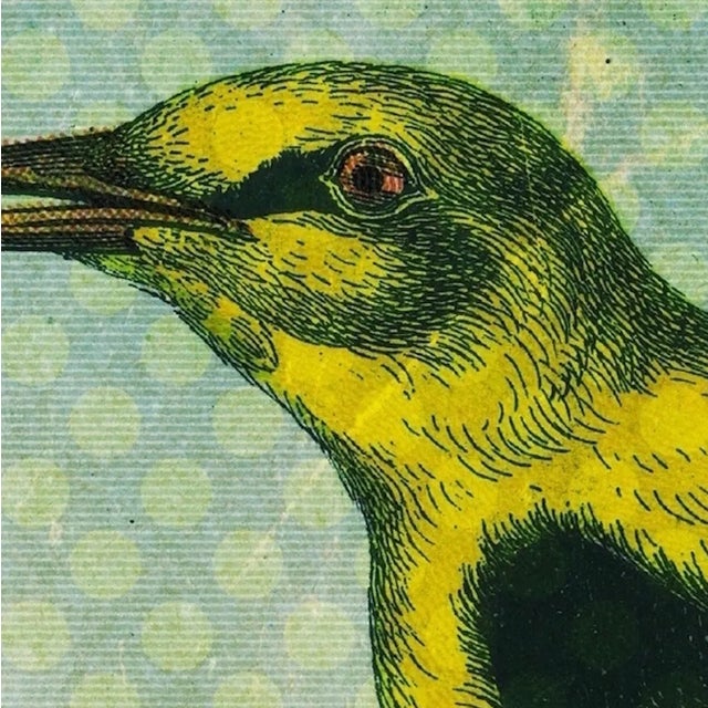 Antique 'Yellow Bird' Archival Print For Sale - Image 4 of 4