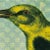 Antique 'Yellow Bird' Archival Print For Sale - Image 4 of 4
