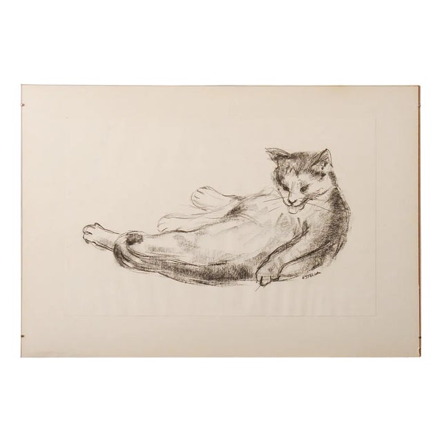 Estella Den Boer, Cat, 1970s, Charcoal Drawing For Sale