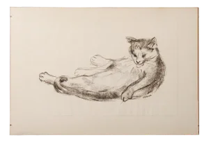Estella Den Boer, Cat, 1970s, Charcoal Drawing