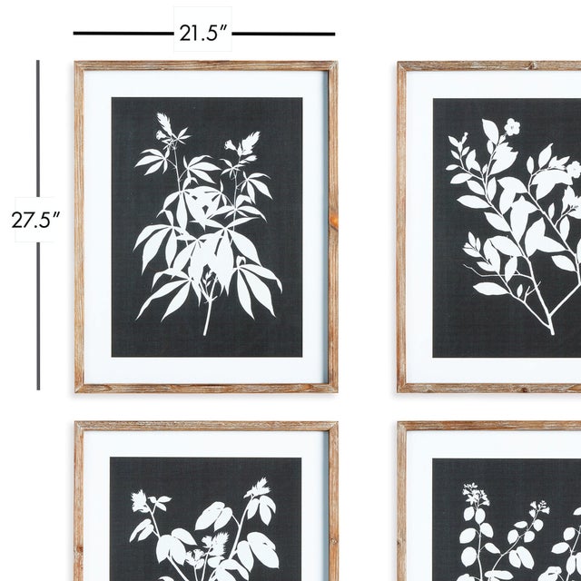 Art Deco Monochrome Botanical Prints, Set Of 4 For Sale - Image 3 of 4