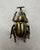 Victorian Pair of Vintage Victorian Revival Solid Brass Beetle Cabinet Knobs Hardware For Sale - Image 3 of 12