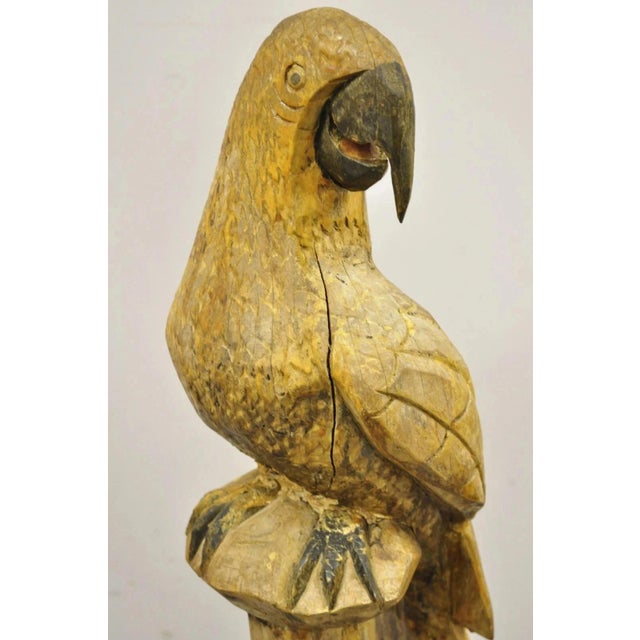 Mid 20th Century Large 46" Vintage Mid Century Carved Wood Perched Parrot Bird Statue Sculpture For Sale - Image 5 of 11