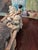 Mid Century Hollywood Glamour Sculpture Buddha Carriage For Sale - Image 15 of 16