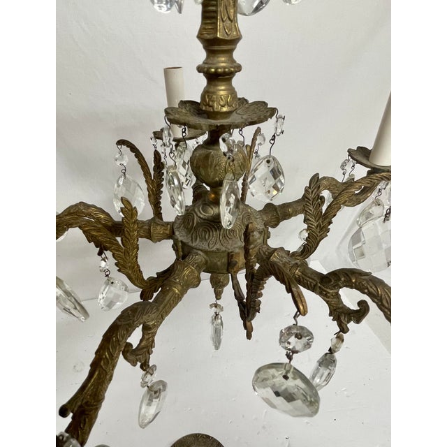 French Style Brass and Crystal Chandelier For Sale In New York - Image 6 of 9