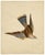 Indian Company School Artist, Indian Bird, 18th Century, Watercolor, Set of 8 For Sale - Image 14 of 18