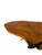 1950s Live-Edge Hardwood Coffee Table with Brass Legs, 1960s For Sale - Image 5 of 7
