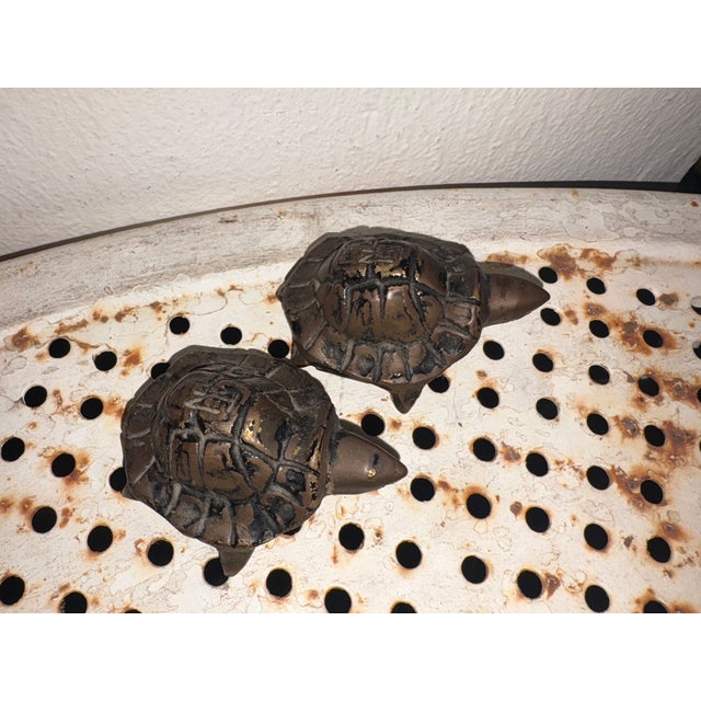 Antique Turtles in Bronze, 1900 For Sale - Image 6 of 6