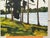 Tall Riverside Pine Trees in the English Countryside with dappled light & water 2009 For Sale - Image 12 of 16