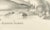 Seals and Elephant Seals in Arctic and Marine Habitat, 1836, Lithograph For Sale - Image 4 of 10