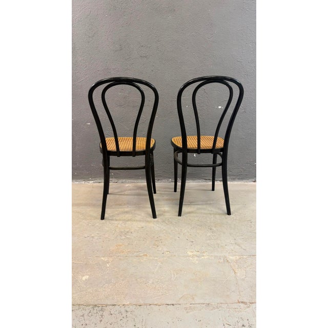 Bentwood Vienna Straw Seats, 1960s, Poland, Set of 2 For Sale - Image 4 of 12