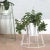 Contemporary White Cibele Plant Stands by OK Design, Set of 3 For Sale - Image 3 of 7