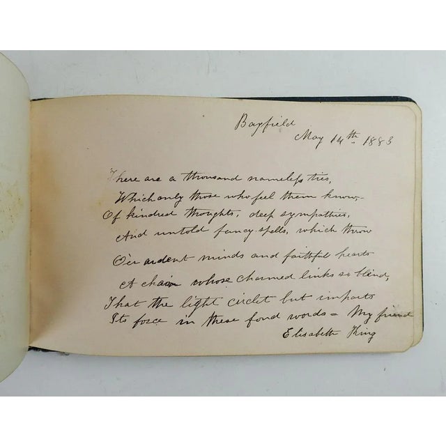 Late 19th Century Antique 1878 Aesthetic Movement Autograph Album Book For Sale - Image 5 of 12