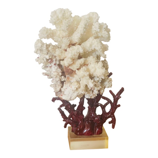 1960s Marine Arrangement - White Coral Cluster on Faux Red Coral Stand For Sale
