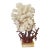 1960s Marine Arrangement - White Coral Cluster on Faux Red Coral Stand For Sale