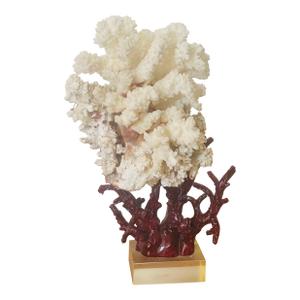 1960s Marine Arrangement - White Coral Cluster on Faux Red Coral Stand
