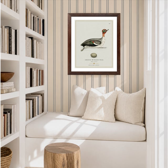 Robin's Egg Blue William Lewin 1789 Waterbirds Fine Art Gallery Board Print - The Green Winged Teal For Sale - Image 8 of 10