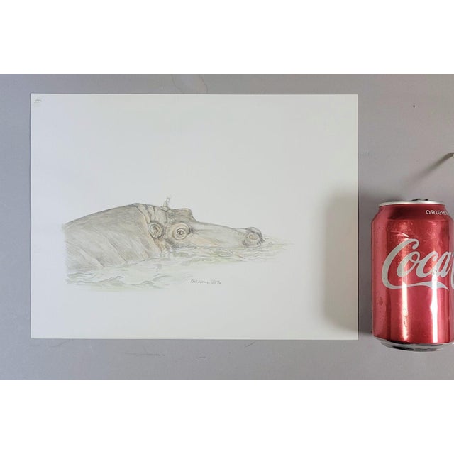 Figurative Original Watercolor Painting of Hippopotamus by Pam Baldwin For Sale - Image 3 of 5