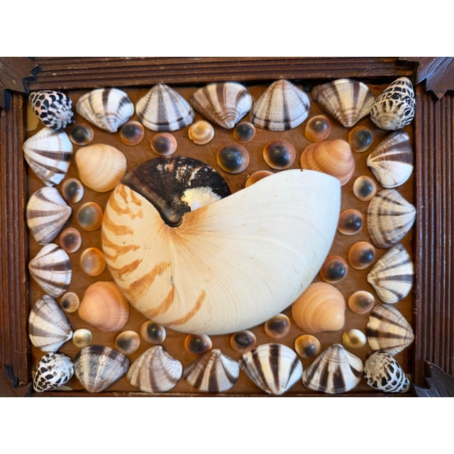 Coastal Shell Art in Antique Frame For Sale - Image 3 of 6