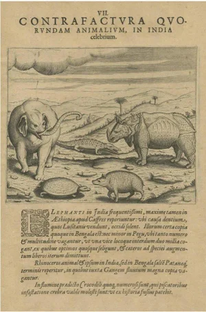 Theodore de Bry, Animals in India, 1601, Copper Engraving on Paper