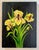 "Irises" Original Contemporary Botanical Oil Painting on Canvas With Black Background For Sale - Image 4 of 14