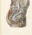19th Century Hirschfeld and Leveille, the Nervous System of the Whole Body, Hirschfeld Double Folding Plate, 1866, Paper For Sale - Image 5 of 12