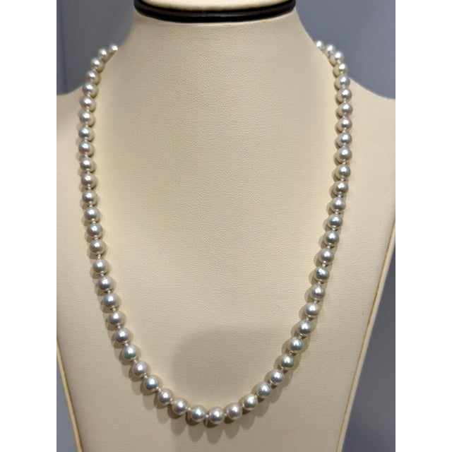 Metal Fine Cultured Akoya Pearl Necklace Length 18" , 14 Karat Yellow Gold For Sale - Image 7 of 8